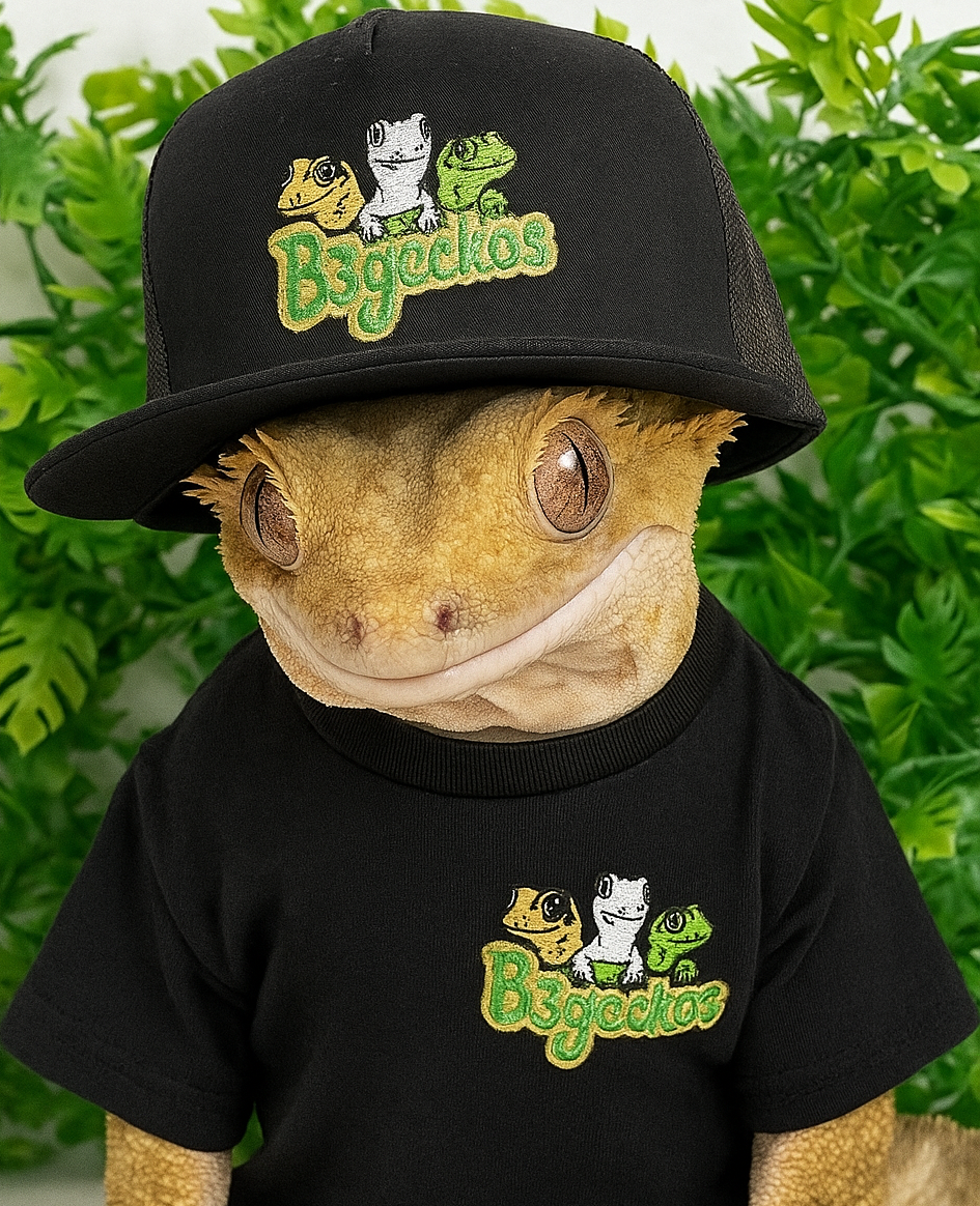 Shop All Merch/Supplies