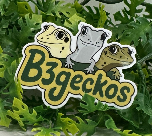 B3Geckos Sticker