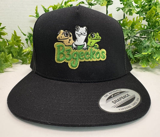 Black Hat with Color Logo