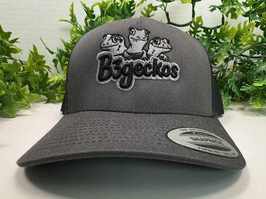 Grey Hat with Color Logo