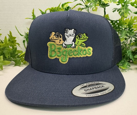 Blue Hat with Color Logo