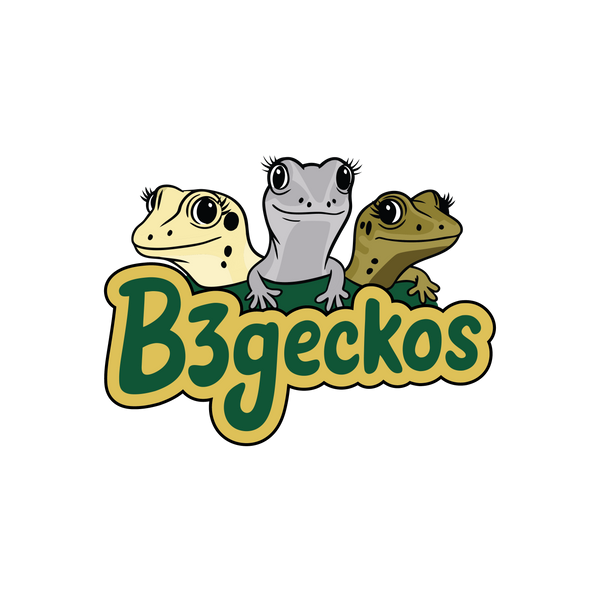 B3geckos